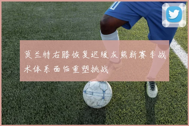 莫兰特右膝恢复迟缓灰熊新赛季战术体系面临重塑挑战