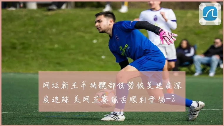 网坛新王辛纳髋部伤势恢复进度深度追踪 美网正赛能否顺利登场